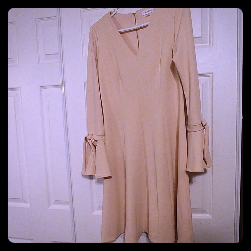 Beautiful elegant blush dress with bell sleeves